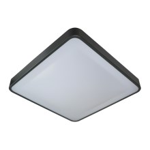 Ceiling light WILTON 2xE27/60W/230V