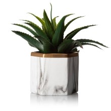 Ceramic flowerpot SONA 10x12 cm