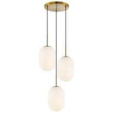Chandelier on a string ALIAS 3xE14/40W/230V gold