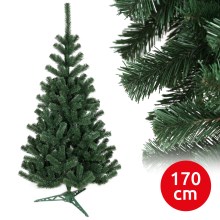 Christmas tree BRA 170 cm fir tree
