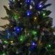 Christmas tree NARY I 220 cm pine