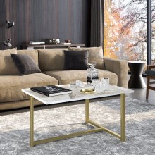 Coffee table MERIDETHS 45x92 cm gold/white