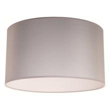 Duolla - Ceiling light DORSET 1xE27/40W/230V grey