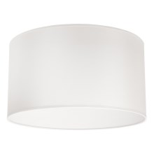 Duolla - Ceiling light DORSET 1xE27/40W/230V white