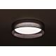 Duolla - LED Ceiling light ROLLER LED/24W/230V anthracite