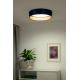 Duolla - LED Ceiling light ROLLER LED/24W/230V blue/gold