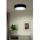Duolla - LED Ceiling light ROLLER LED/24W/230V blue/silver