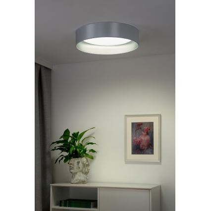 Duolla - LED Ceiling light ROLLER LED/24W/230V d. 45 cm silver