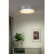 Duolla - LED Ceiling light ROLLER LED/24W/230V silver/gold