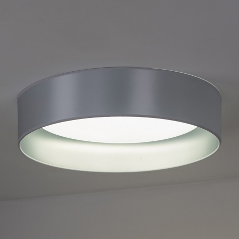 Duolla - LED Ceiling light ROLLER LED/24W/230V silver
