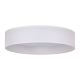 Duolla - LED Ceiling light ROLLER LED/24W/230V white