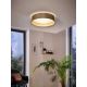 Eglo 31624 - LED ceiling light MASERLO 1xLED/18W/230V
