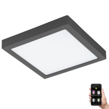 Eglo 33578- LED Dimmable bathroom light ARGOLIS-C LED/22W/230V IP44 anthracite