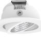 Eglo - SET 3xLED Dimmable light 3xLED/6W/230V white