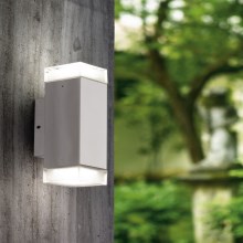 Eglo 93364 - Outdoor wall light TABO-LED 2xLED/2.5W/230V