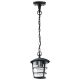 Eglo - LED Outdoor chandelier 1xE27/8,5W/230V IP44