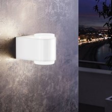 Eglo 95077 - Outdoor wall light BRIONES 2xLED/3W/230V IP44