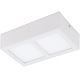 Eglo 95201 - LED ceiling light COLEGIO 2xLED/4,2W/230V