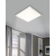 Eglo 95681 - LED ceiling light COMPETA 1 LED/24W/230V