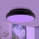 Eglo 96996 - LED RGB Ceiling light RIODEVA-C 1xLED/27W/230V