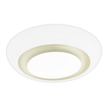 Eglo 97038 - LED ceiling light CANUMA 1xLED/21W/230V