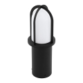 Eglo 97228 - Outdoor lamp PAULLO 1xE27/40W/230V 360 mm