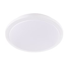 EGLO 97321 - LED Dimmable ceiling light COMPETA-ST 1xLED/20W/230V