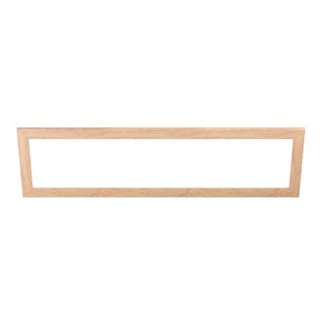 Eglo - Frame for light SALOBRENA 300x1200 mm