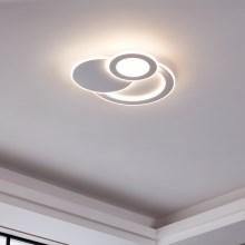 Eglo - LED ceiling light 3xLED/11W/230V