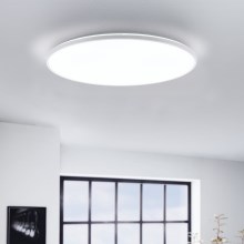 Eglo - LED Ceiling light LED/29W/230V d. 50 cm