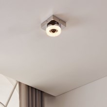 Eglo - LED Ceiling light LED/4W/230V