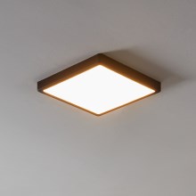 Eglo - LED Dimmable bathroom light LED/19,5W/230V IP44 ZigBee