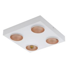 Eglo - LED Dimming ceiling light 4xLED/3,3W/230V