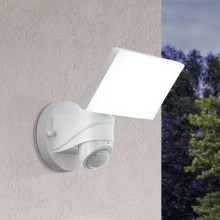 Eglo - LED Outdoor light with sensor LED/15W/230V IP44