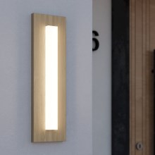 Eglo - LED Outdoor wall light LED/7W/230V IP44