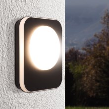 Eglo - LED Outdoor wall light LED/9W/230V IP44