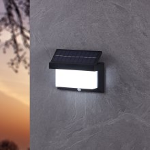Eglo - LED Solar wall light with sensor LED/3,84W/3,7V IP44