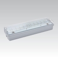 Emergency light CARLA LED LED/5,51W/230V temporary 1h IP65