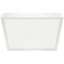 Emithor 49041 - LED Bathroom ceiling light LENYS LED/24W/230V 240 mm IP44