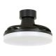 FANAWAY 210665 - LED Dimmable ceiling fan ORBIT LED/25W/230V black + remote control