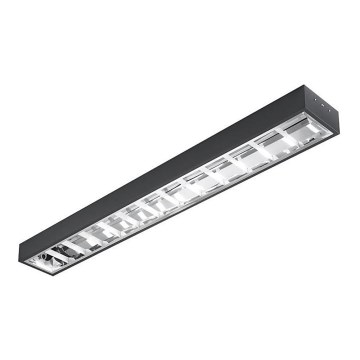 Fluorescent light T8 2xG13/18W/230V 120 cm black