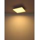 Globo - LED ceiling light LED/24W/230V