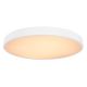 Globo - LED Dimmable ceiling light LED/48W/230V + remote control