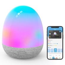 Govee - RGBIC Night Smart LED light with a speaker Wi-Fi