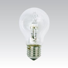 Heavy-duty halogen bulb CLASSIC A55 E27/42W/230V 2800K