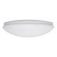 LED Dimmable ceiling light LED/42W/230V 40 cm + remote control