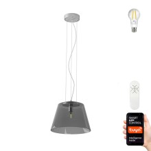 Immax NEO 07054L - LED RGBW Dimmable chandelier on a string CONO 1xE27/8,5W/230V 32 cm Tuya + remote control
