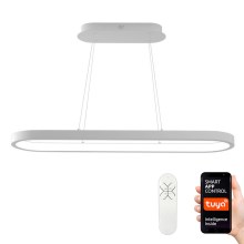 Immax NEO 07077L - LED Dimmable chandelier on a string HIPODROMO LED/66W/230V Tuya + remote control