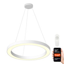 Immax NEO 07092L - LED Dimmable chandelier on a string PASTEL LED/66W/230V 95 cm + RC Tuya