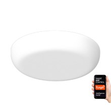 Immax NEO 07109K - LED Dimmable bathroom recessed light PRACTICO LED/24W/230V IP44 Tuya